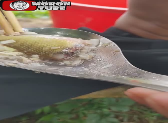 Video :A humorous Vietnamese dish including live fish